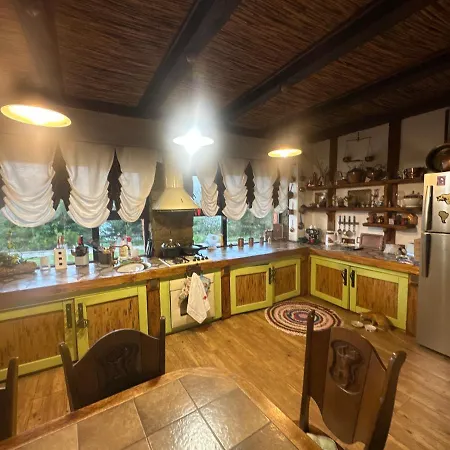 Chervona Kalyna * Odesa