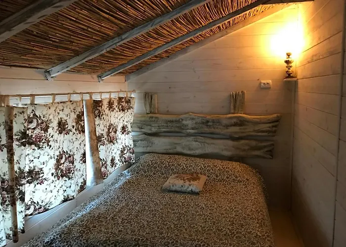 Chervona Kalyna * 敖德萨