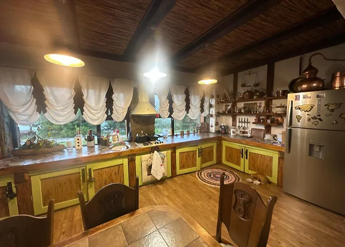 Chervona Kalyna * Odesa