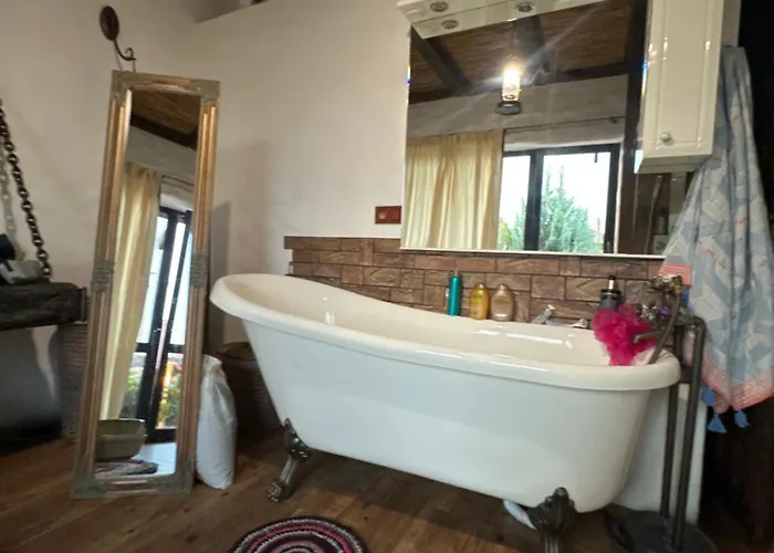 乡村民宿 Chervona Kalyna 敖德萨