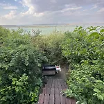 Chervona Kalyna *