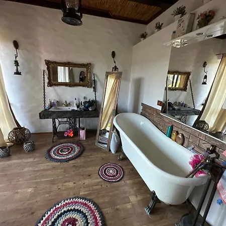 Chervona Kalyna منزل ريفي أوديسا